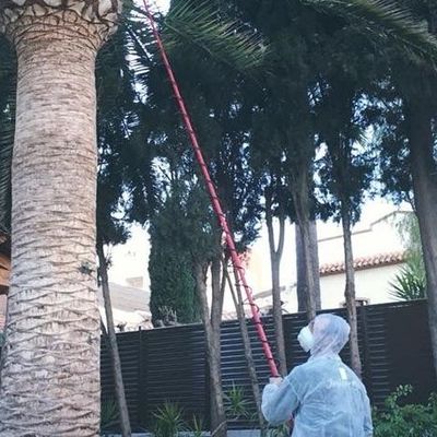 Tratamientos Fitosanitarios La Coma
